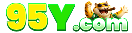 95Y.com